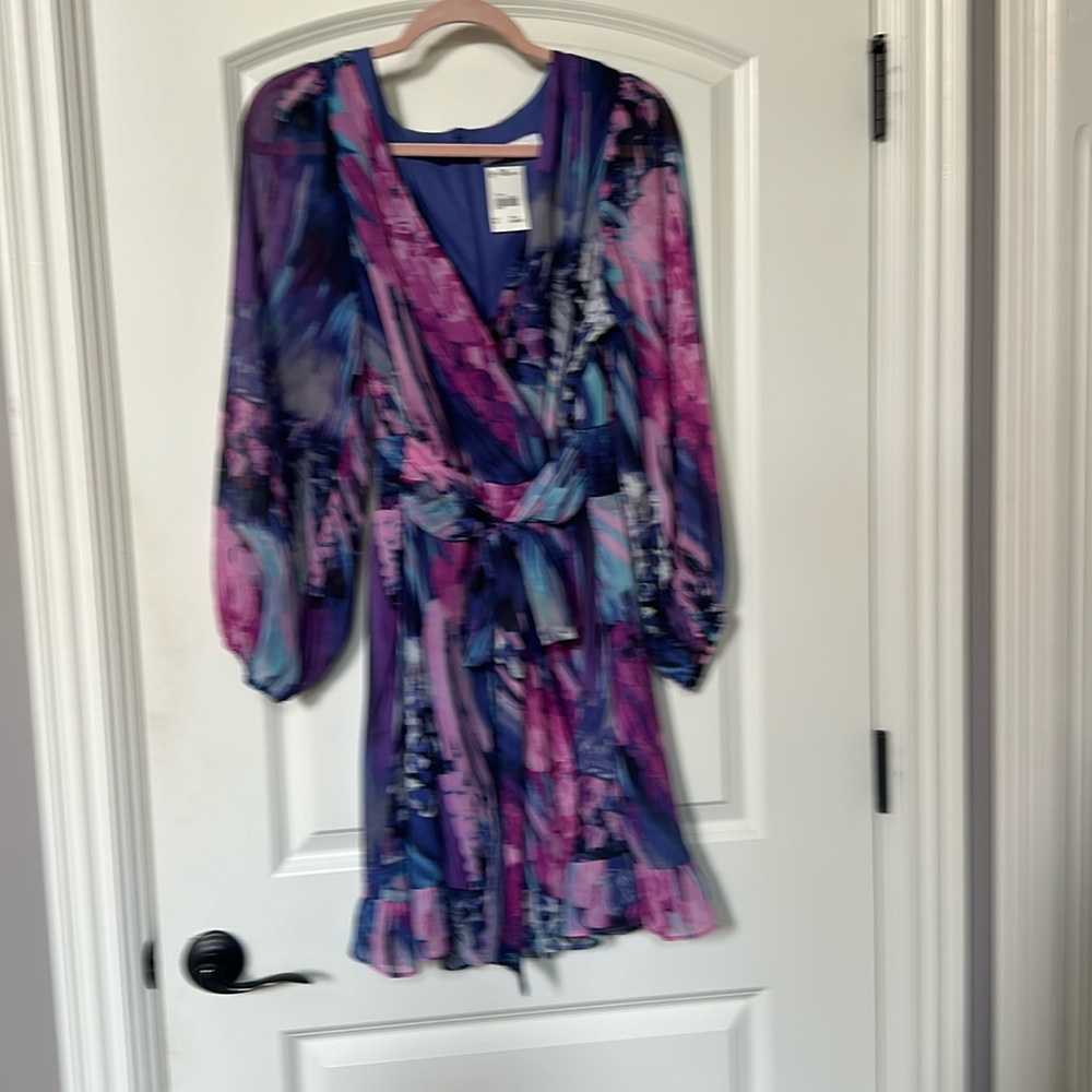 NWT sheer sleeve dress
